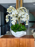Orchidée Phalaenopsis | Signature Camargue, blanc