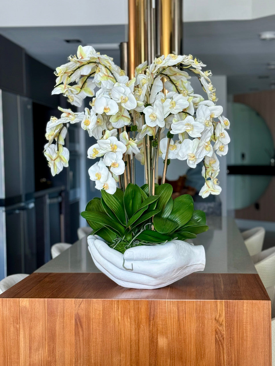 Orchidée Phalaenopsis | Signature Camargue, blanc