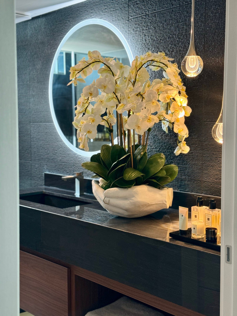 Orchidée Phalaenopsis | Signature Camargue, blanc