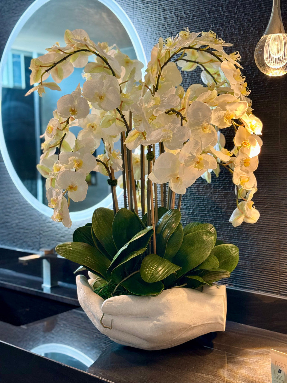 Orchidée Phalaenopsis | Signature Camargue, blanc