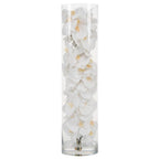Orchidée Phalaenopsis | Signature Bordeaux, blanc