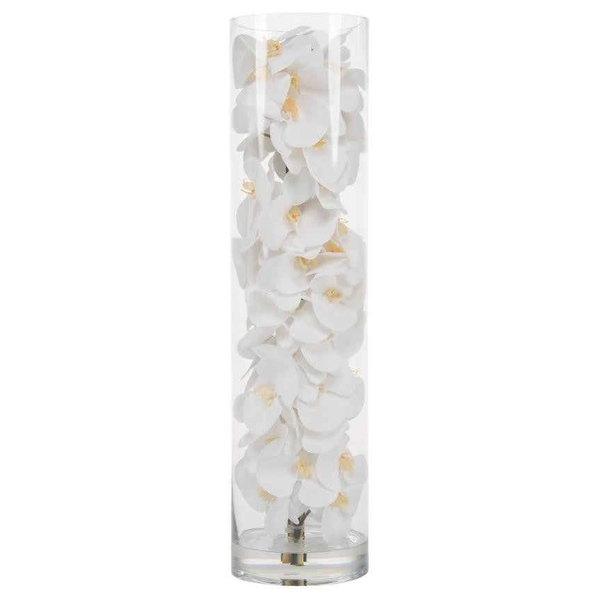 Orchidée Phalaenopsis | Signature Bordeaux, blanc