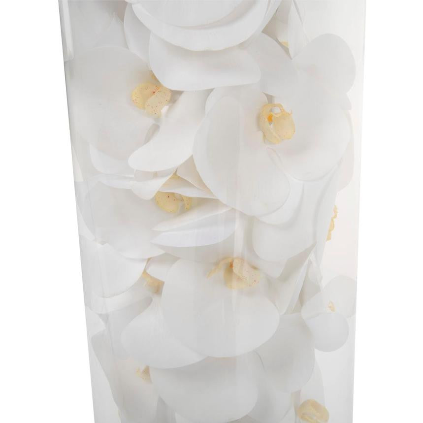 Orchidée Phalaenopsis | Signature Bordeaux, blanc