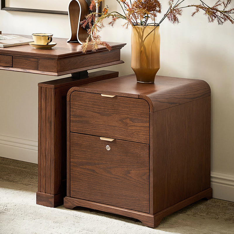 Baggio Moderner Aktenschrank mit 2 Schubladen und Ladefunktion