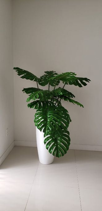 Plante Tropicale | Signature Vosges