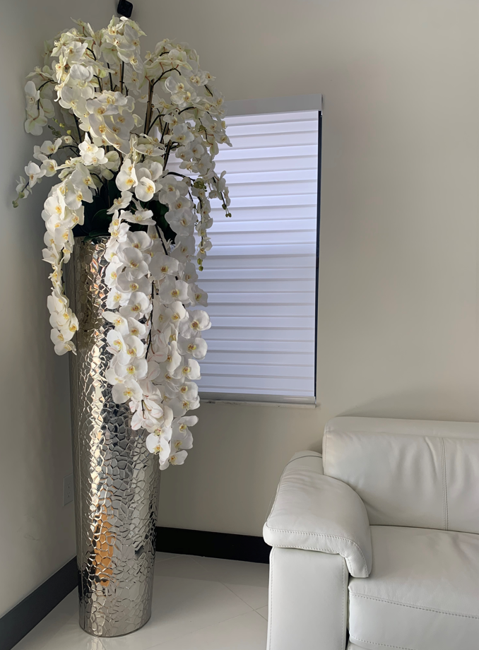 Orchidée Phalaenopsis · Édition Menton