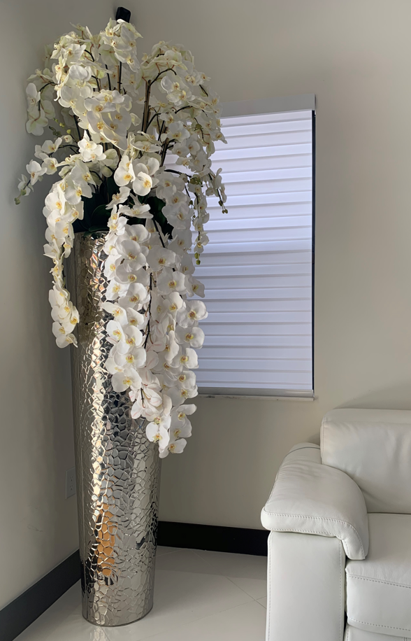 Orchidée Phalaenopsis · Édition Menton