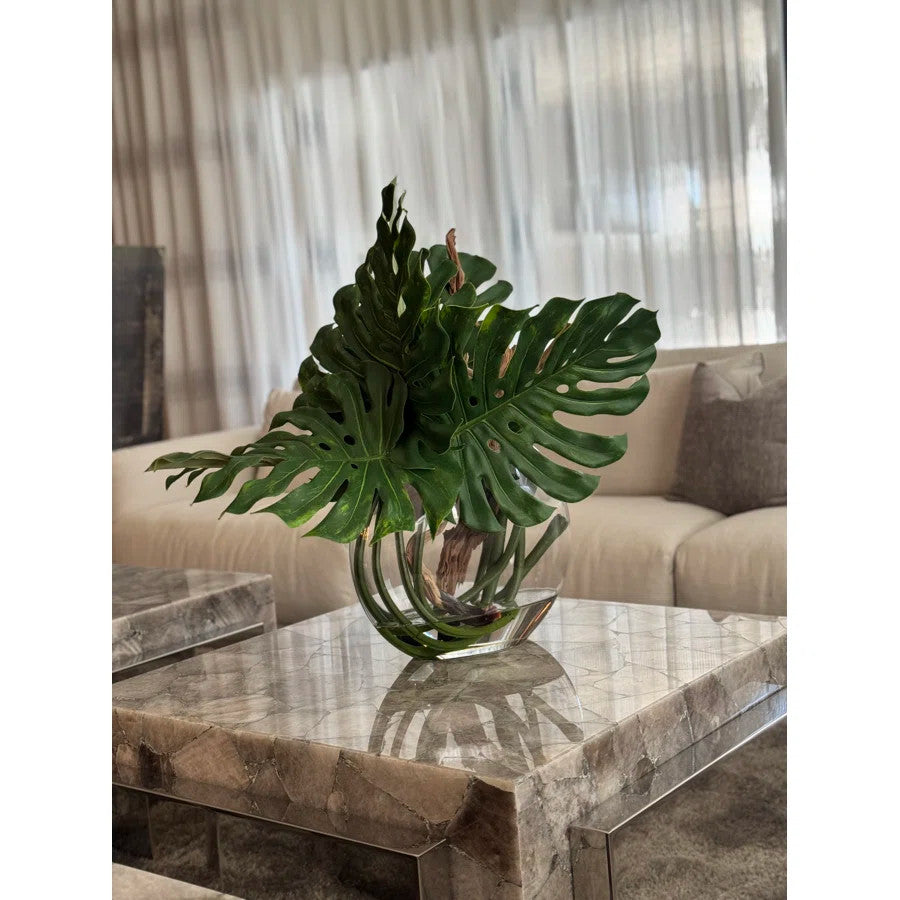 Plante Tropicale | Signature Provence
