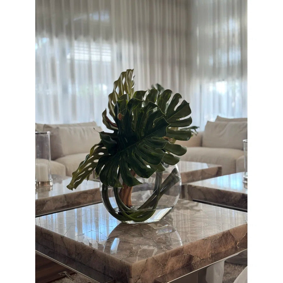 Plante Tropicale | Signature Provence