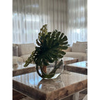 Plante Tropicale | Signature Provence