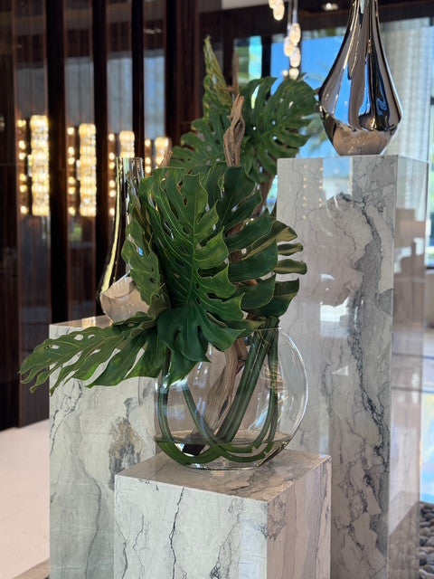 Plante Tropicale | Signature Provence