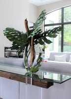 Plante Tropicale | Signature Provence