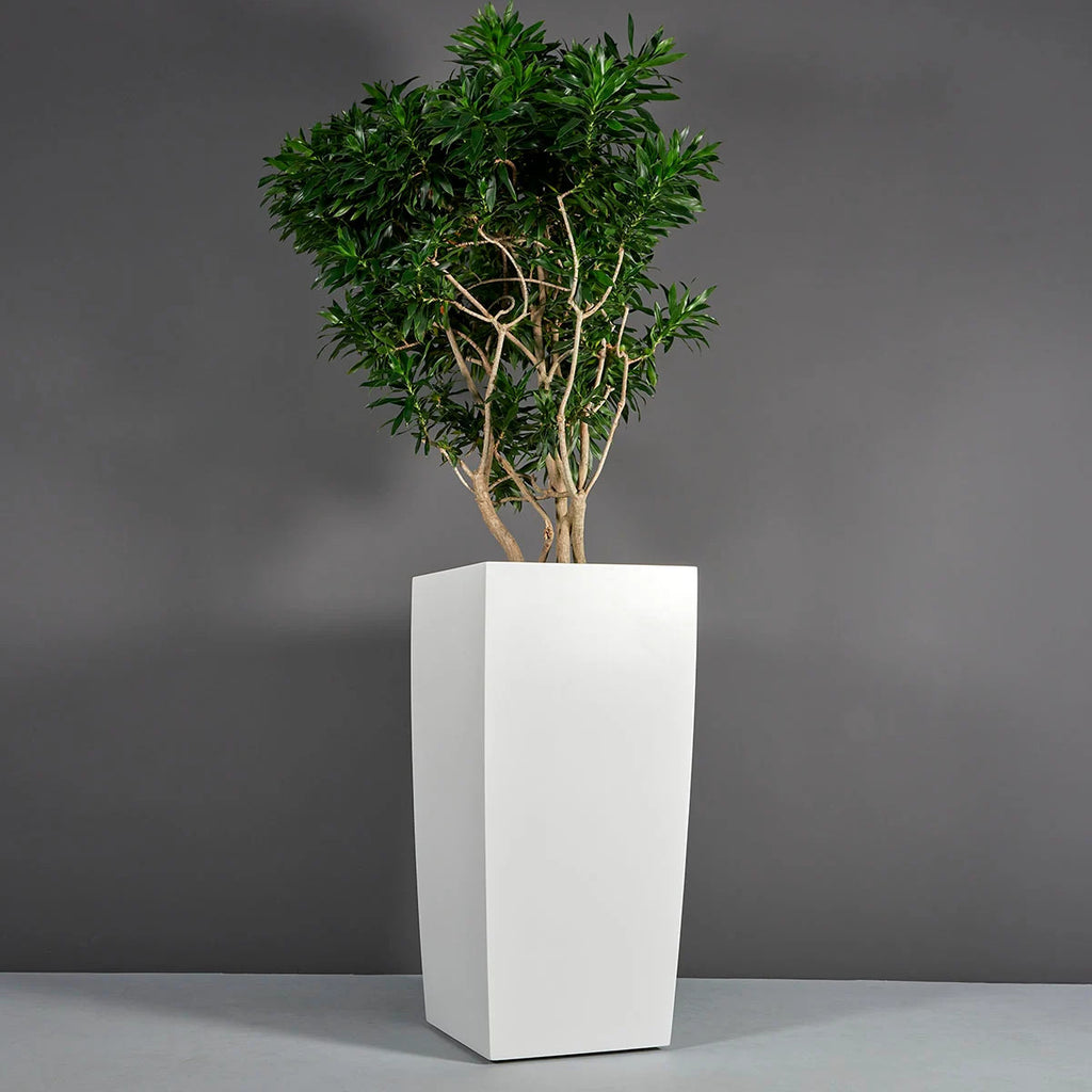 Cache-pot Décoratif | Signature Camargue