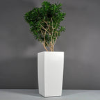Cache-pot Décoratif | Signature Camargue
